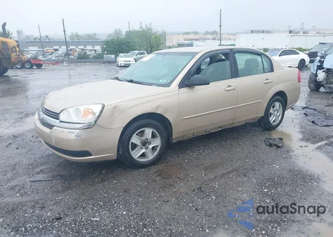 2005 Chevrolet Malibu Ls из США, поврежденный, VIN 1G1ZT528X5F276763